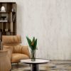 Picture of Patagonia White Polished Tile 60x120 cm