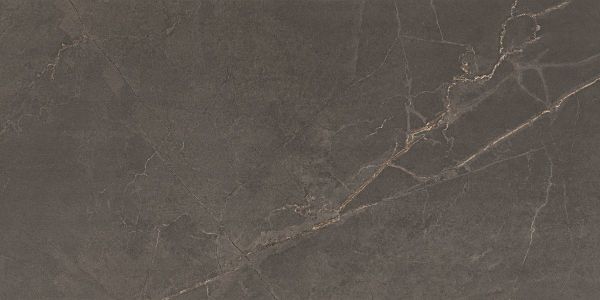 Picture of Adria Mocha Matt Tile 60x120 cm