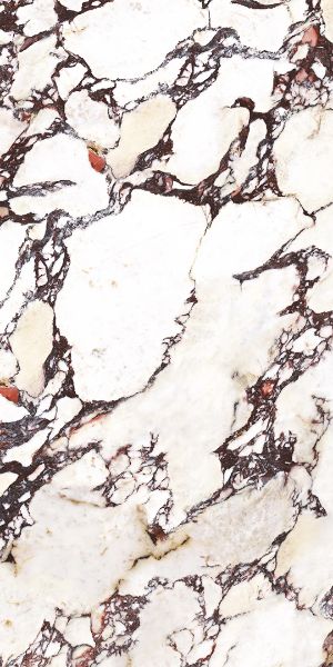 Picture of Calacatta Viola Matt Tile 60x120 cm