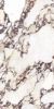 Picture of Calacatta Viola Matt Tile 60x120 cm