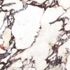 Picture of Calacatta Viola Matt Tile 60x60 cm